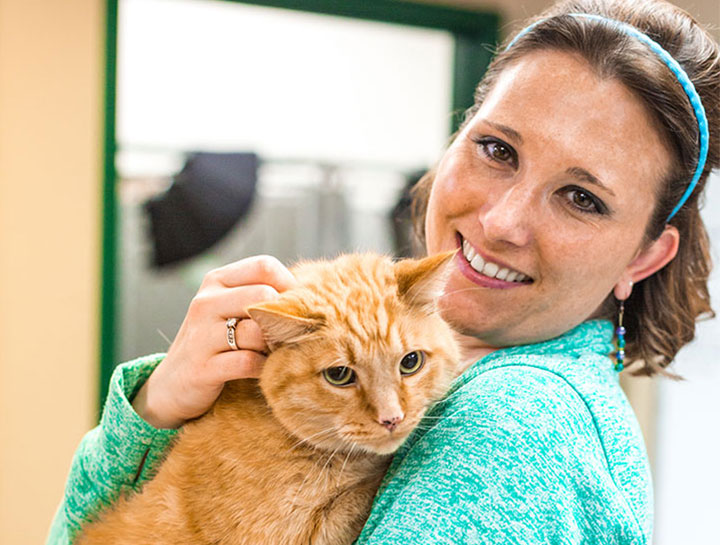 Preventive Care for Cats